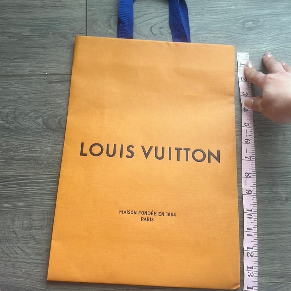 Louis Vuitton shopping bag